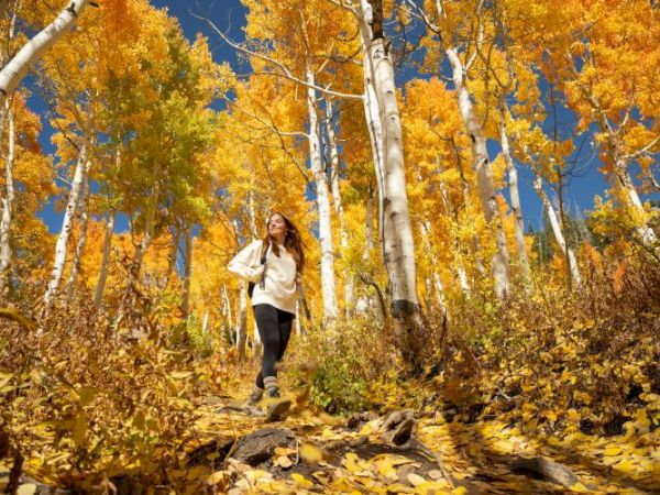 A woman hikes along a fallen-leaf path in a golden autumn forest of white-barked birch trees, smiling as she walks.