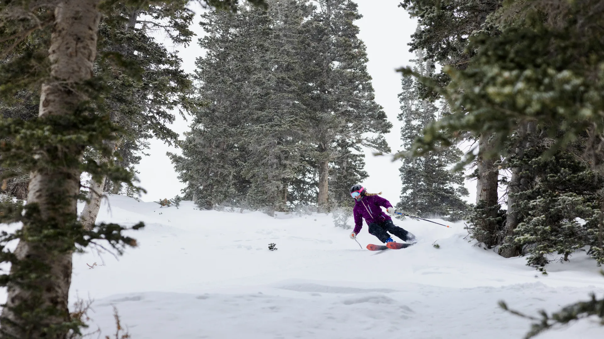A snowboarder in a purple jacket glides through snowy woods, weaving between tall trees in winter snowfall.